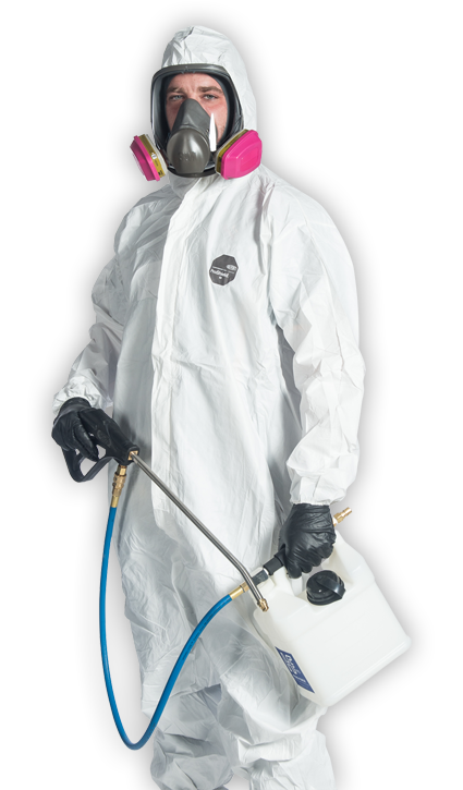 Mold Remediation Specialist Plainfield NJ