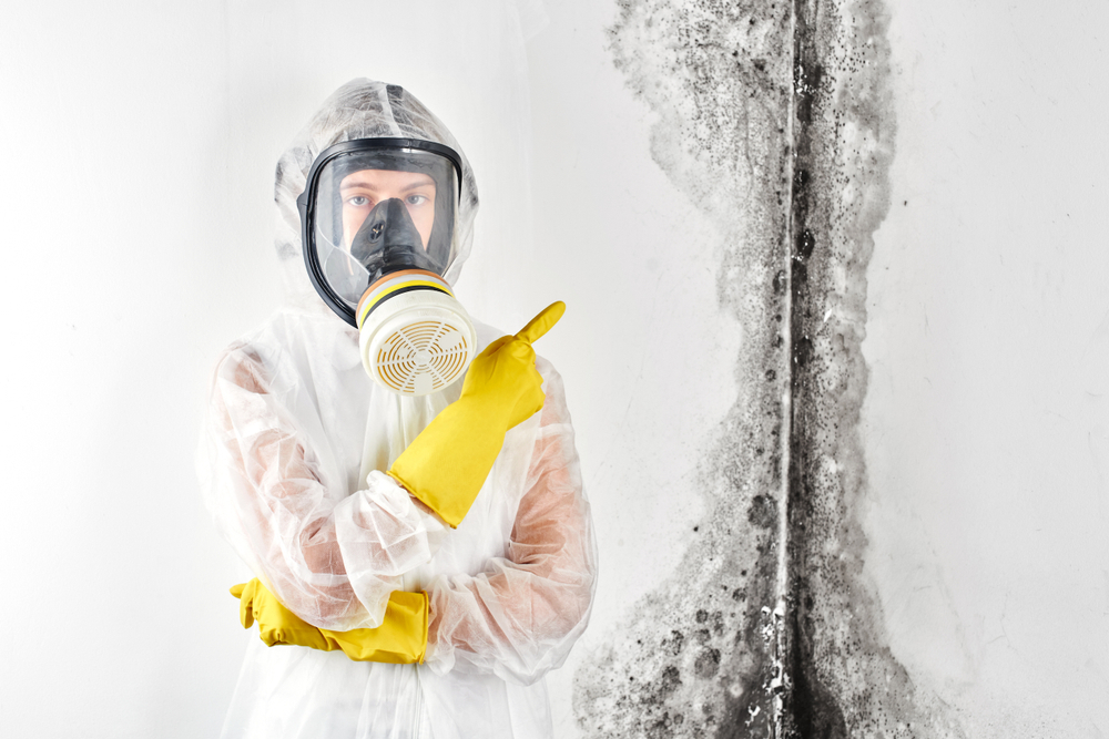 Read more about the article Visual Mold Inspection: The Ultimate Guide to Identifying and Removing Mold in Your Home