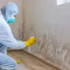 Mold Remediation Techniques Plainfield New Jersey